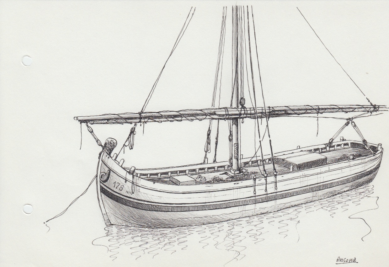 291 Ancona